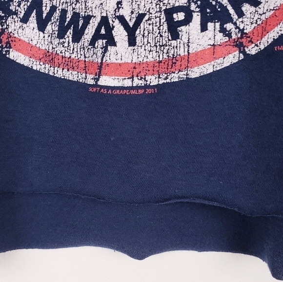 Soft as a Grape Vintage Graphic‎ Boston Red Sox Cropped T-shirt size Large - Picture 4 of 6